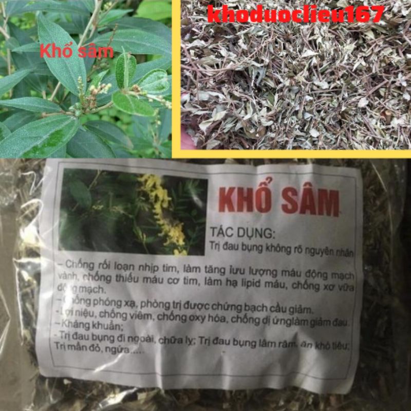 (Giá 500gr-1kg) Lá Khổ Sâm hỗ trợ đại tràng tiêu hóa kém
