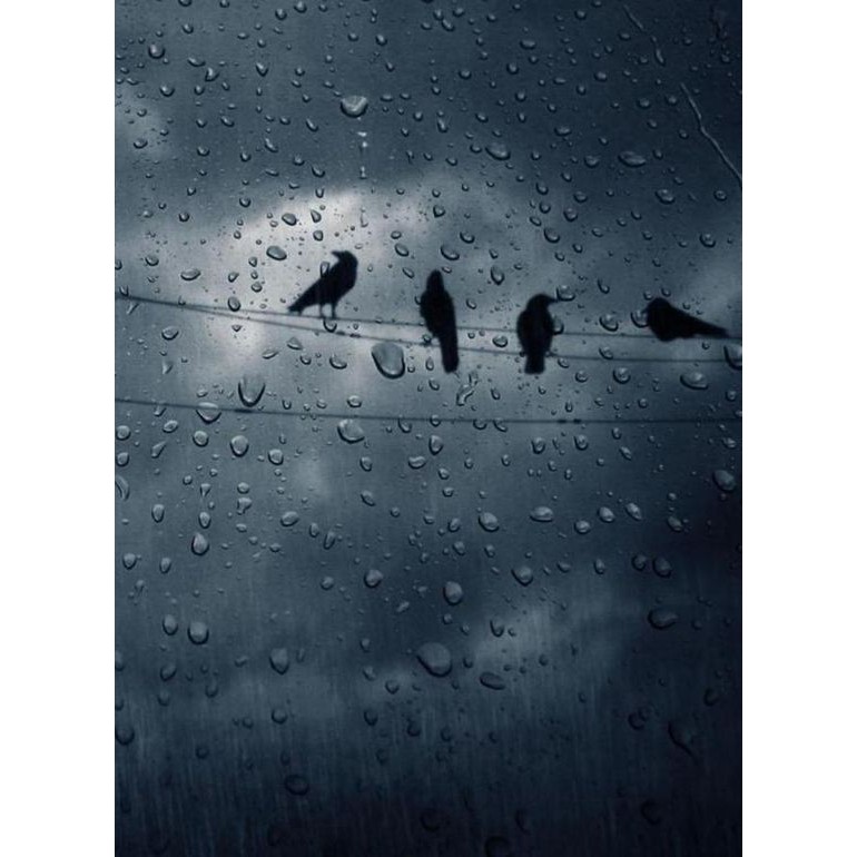 Bộ 6 Áp phích - Poster Phong Cảnh Rainy day - Ngày mưa 1