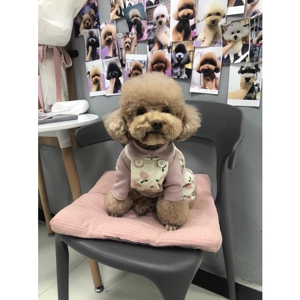 YẾM QUẦN HOẠ TIẾT TRÁI TÁO DỄ THƯƠNG CHO THÚ CƯNG