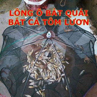 [NP] LỒNG Ô BÁT QUÁI LỒNG Ô 8 CỬA. LỒNG BẮT CÁ. LƯỚI BẮT CÁ. LỒNG Ô BẮT CÁ