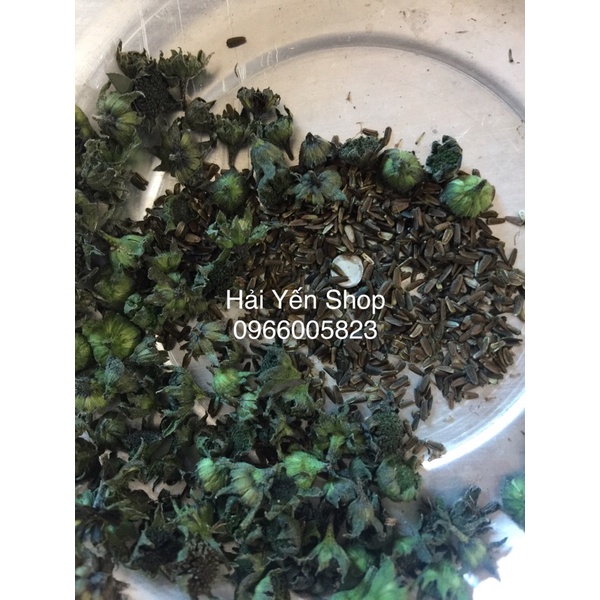 1kg Cây Cỏ Nhọ Nồi  Tươi_Khô_Cây Giống