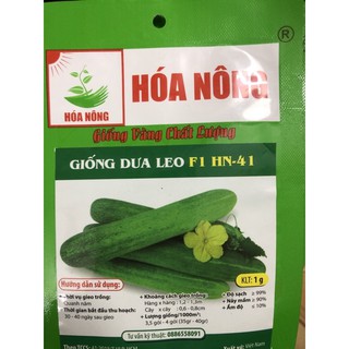 Hạt giống dưa leo F1 HN-41 🌱