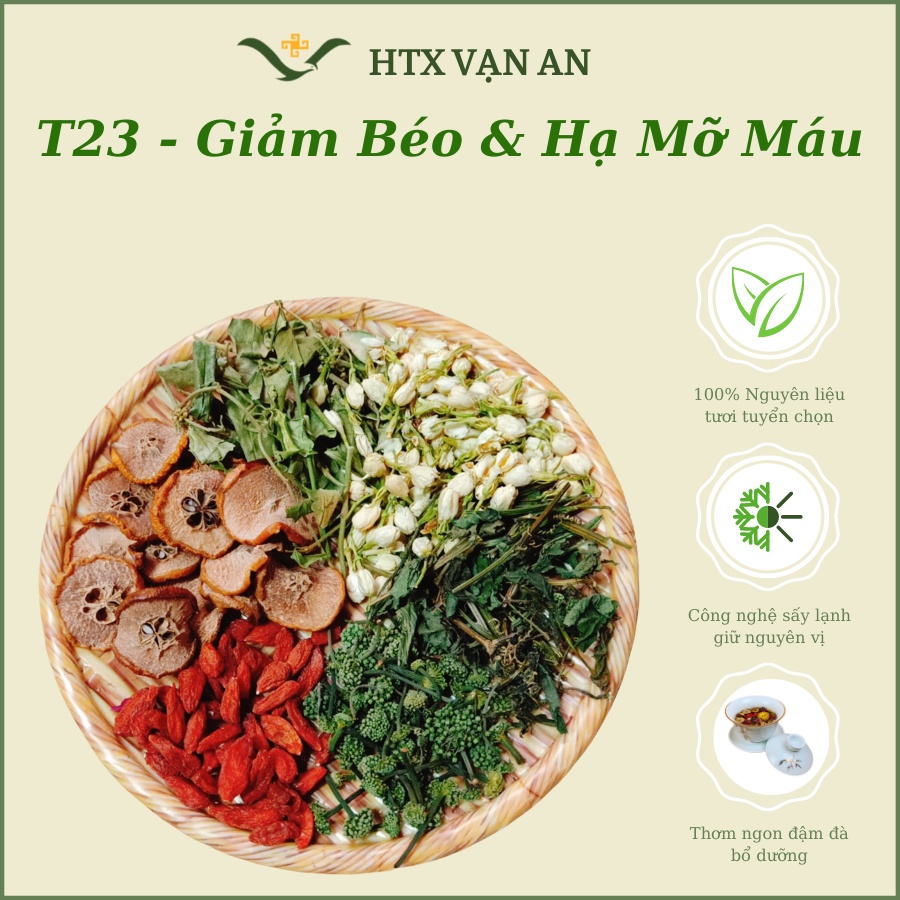 Trà giảm cân hạ mỡ máu, chống béo phì 💥