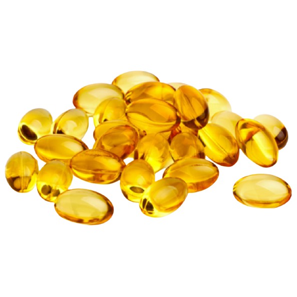 Dầu Cá Cho Mèo / Chó Mèo / Chó Omega 3