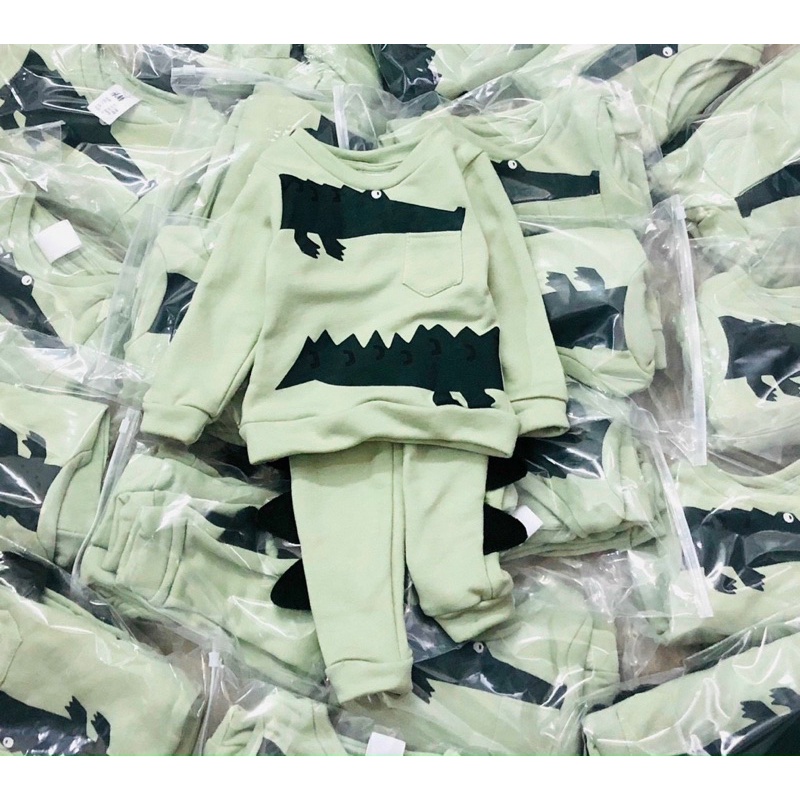 Bộ nỉ bé trai cá sấu xanh mint HM 9-19kg