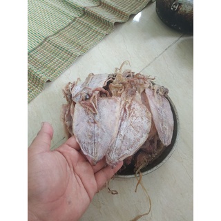 Combo 10 con mực khô + tặng thêm 2 con