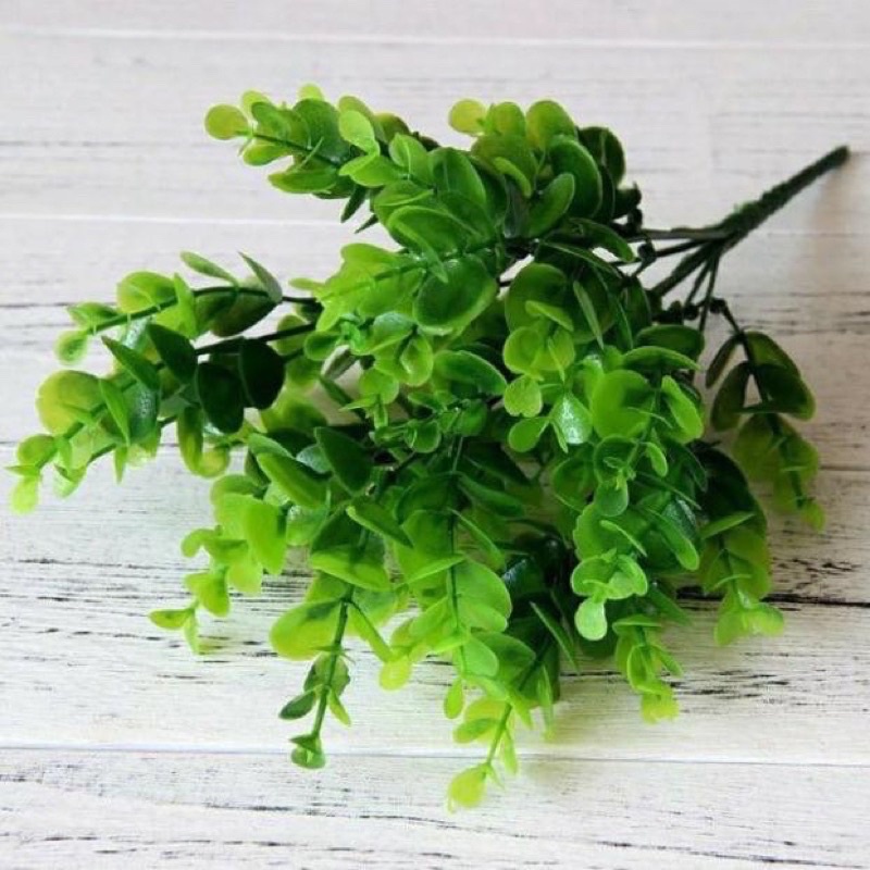 Cây giả cành lá cỏ ngâu to lá giả trang trí nhà cửa bền đẹp