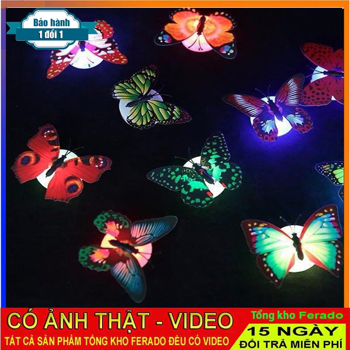 Đèn LED Trang Trí Hình Bướm 3D Màu Sắc Ngẫu Nhiên