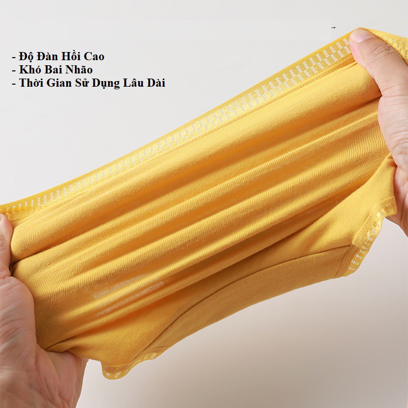 Quần Lót Cotton Sợi Bông Cạp Zíc Màng Kháng Khuẩn QL68