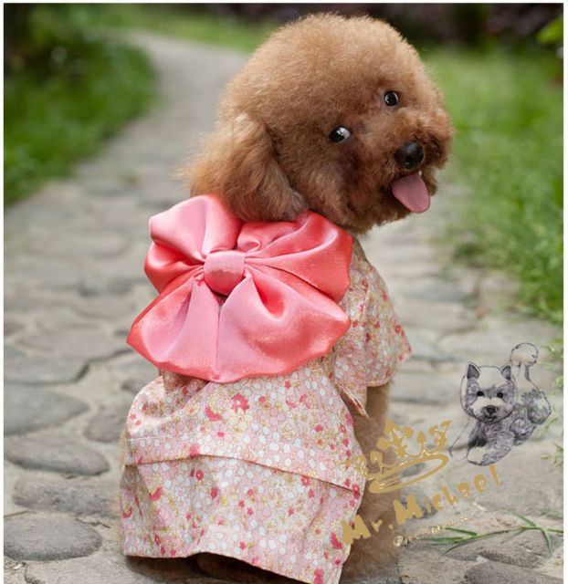 Kimono siêu xinh cho thú cưng