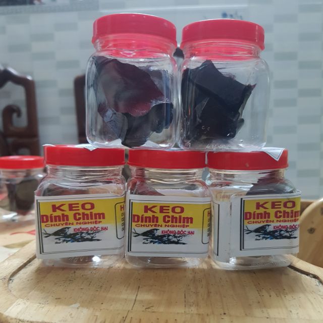 Combo 5 hũ keo bẫy chim sẻ