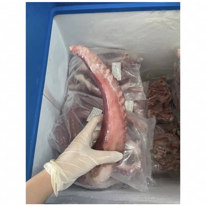 1KG RÂU BẠCH TUỘC NET 7