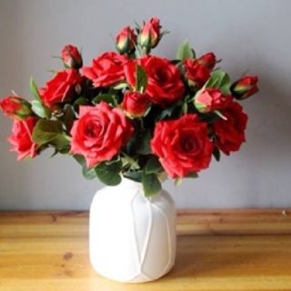 Cành hoa hồng 1 bông 1 nụ