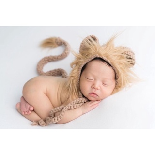 set chụp ảnh newborn sư tử