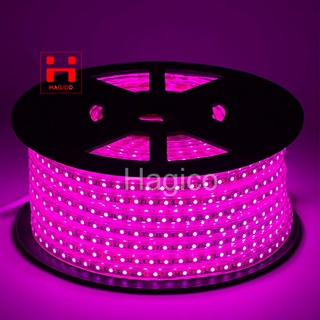 Led dây 5050 Đèn LED dây 5050 đơn sắc Trắng; Vàng; Xanh dương; Xanh lá; Đỏ; Nhiều màu