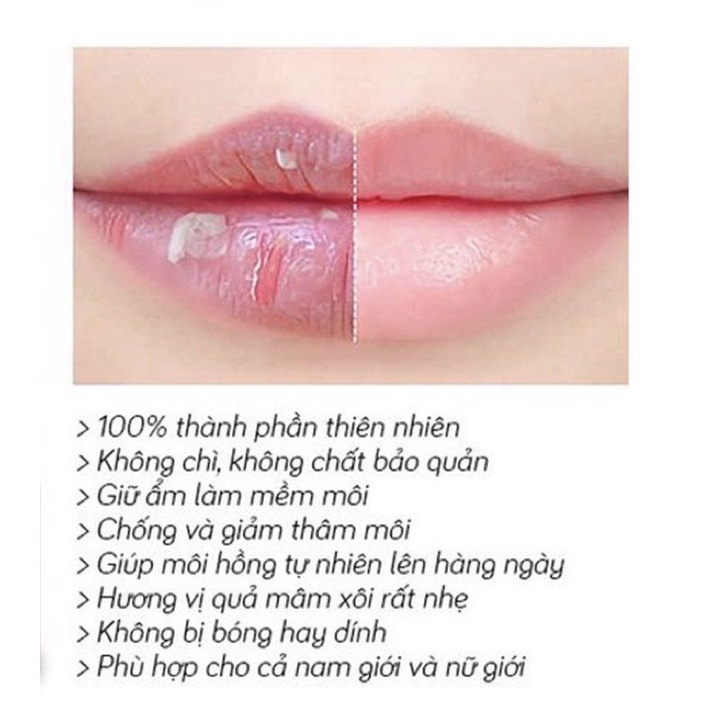 Son Dưỡng Môi Chính Hãng Không Màu- Son Dưỡng Nanophy Lips Chính Hãng