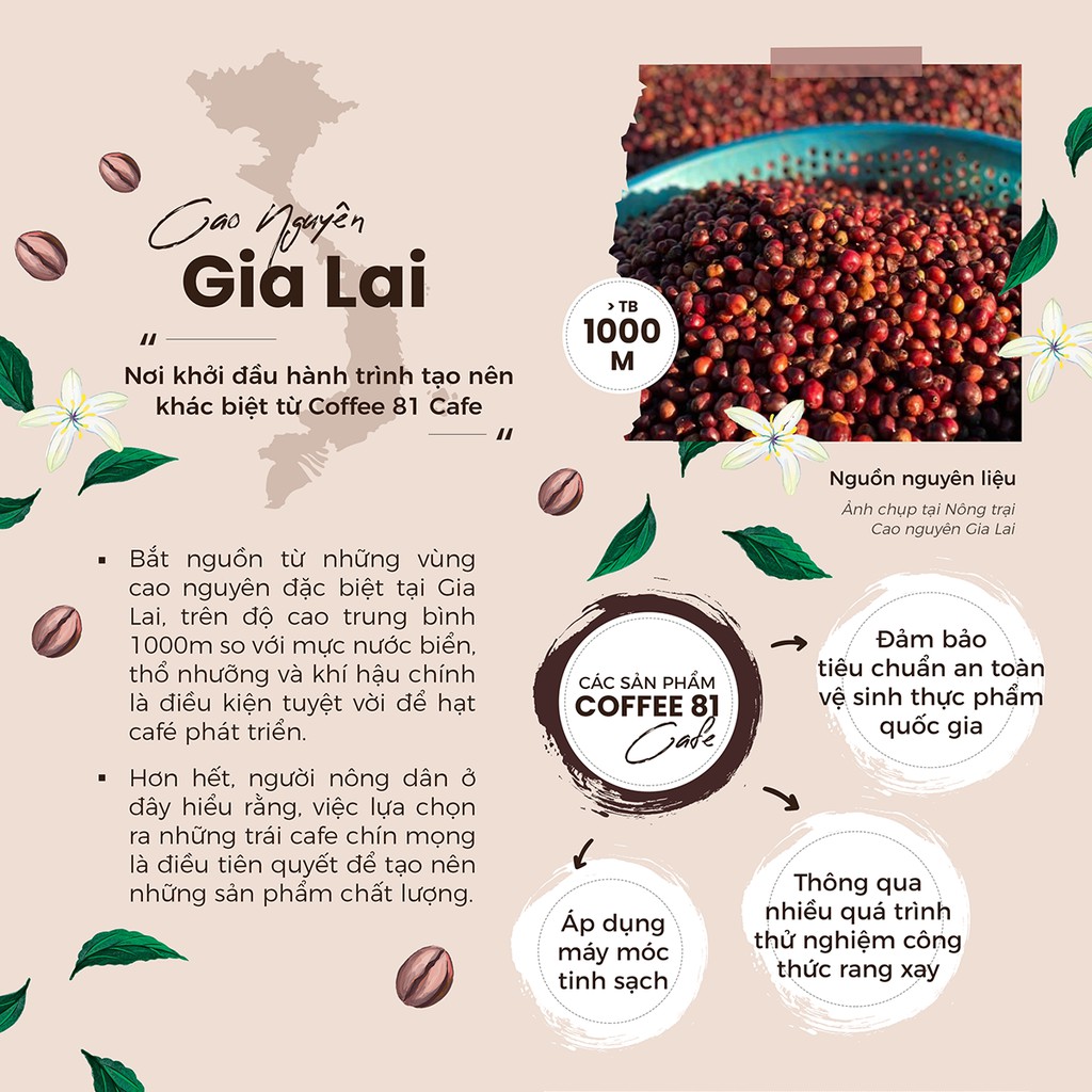 Cà Phê Nguyên Chất Rang Xay 81 cafe (coffee bột Robusta,Abarica)