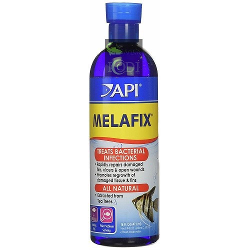 Dung dịch API MELAFIX 473ml