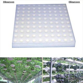 Set 100 chậu trồng cây thủy canh không cần đất