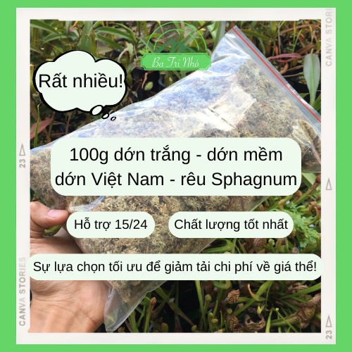 Dớn trắng dớn khô dớn mềm dớn Việt Nam rêu sphagnum giá thể chuyên dụng trồng cây ăn thịt cây bắt mồi 100g | Ba Tri Nhỏ