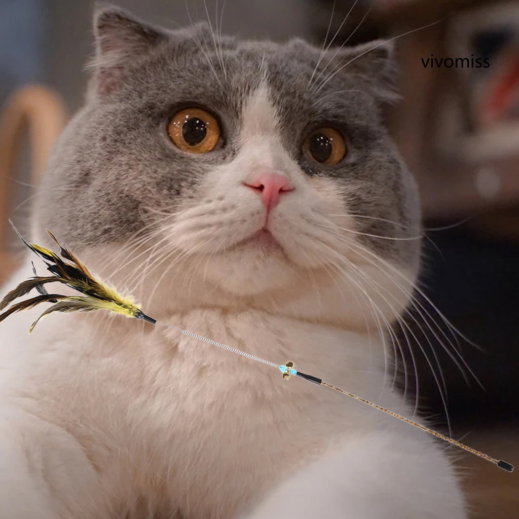 Gậy đồ chơi gắn lông vũ vui nhộn dành cho mèo