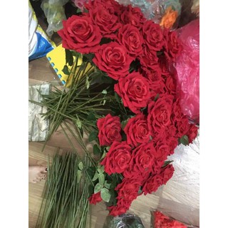 hoa hồng nhung cành 1 bông