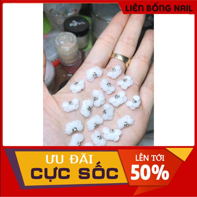 Hoa cúc nhọn - Hoa bột nail