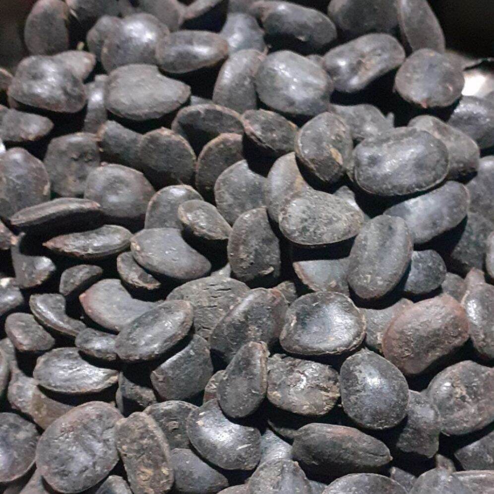 200gram hạt giống lim xanh