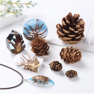 Set 5 quả thông thật khô mini trang trí sản phẩm resin noel