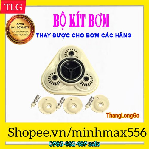 BỘ KIT ZOĂNG BƠM MÁY LỌC NƯỚC - GIĂNG BƠM - THAY CHO MÁY BƠM BỊ CHẢY NƯỚC