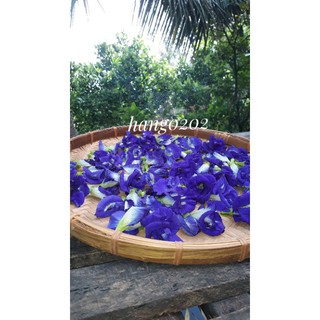 10g hoa đậu biếc khô + tặng hạt