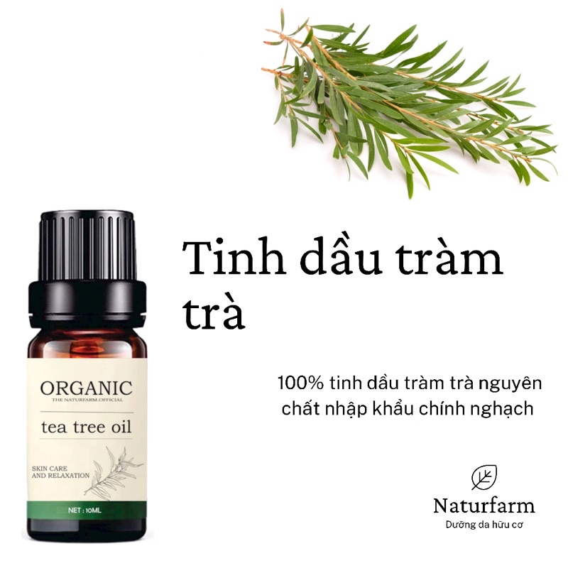 Tinh dầu tràm trà ( Tea Tree Oil ) nguyên chất Organic