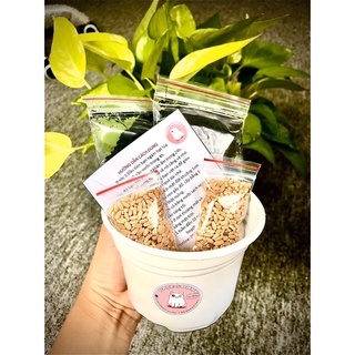[Tân Phú] Bộ Kit 2 lần trồng cỏ lúa mạch