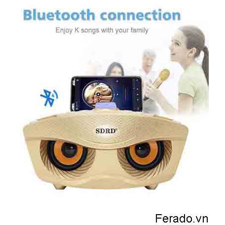 Loa Bluetooth Karaoke SD-306 Thuộc Dòng Loa Bluetooth Mini Cao Cấp Sử Dụng Pin Sạc