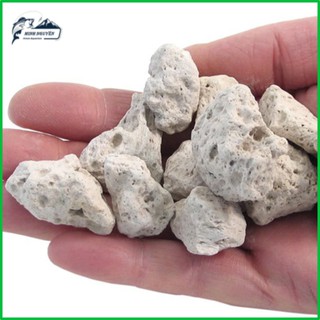 Đá lông vũ Vật liệu lọc | Đá nham thạch trắng 500G TURKEY giá rẻ