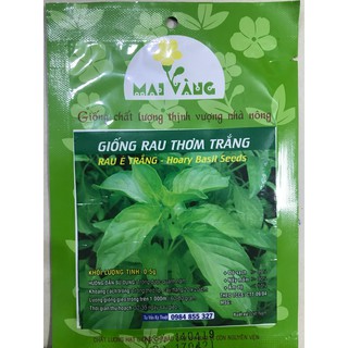 Hạt giống Rau thơm trắng 0,5g