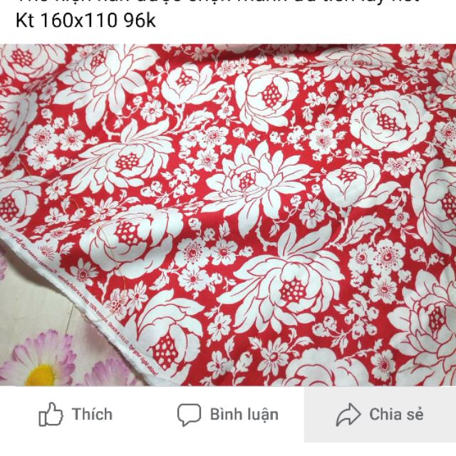 Sét vải của c Tuệ Lâm