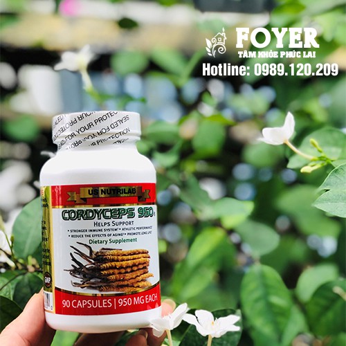 CORDYCEPS 950 - THỰC PHẨM CHỨC NĂNG ĐÔNG TRÙNG HẠ THẢO NHẬP KHẨU TỪ MỸ