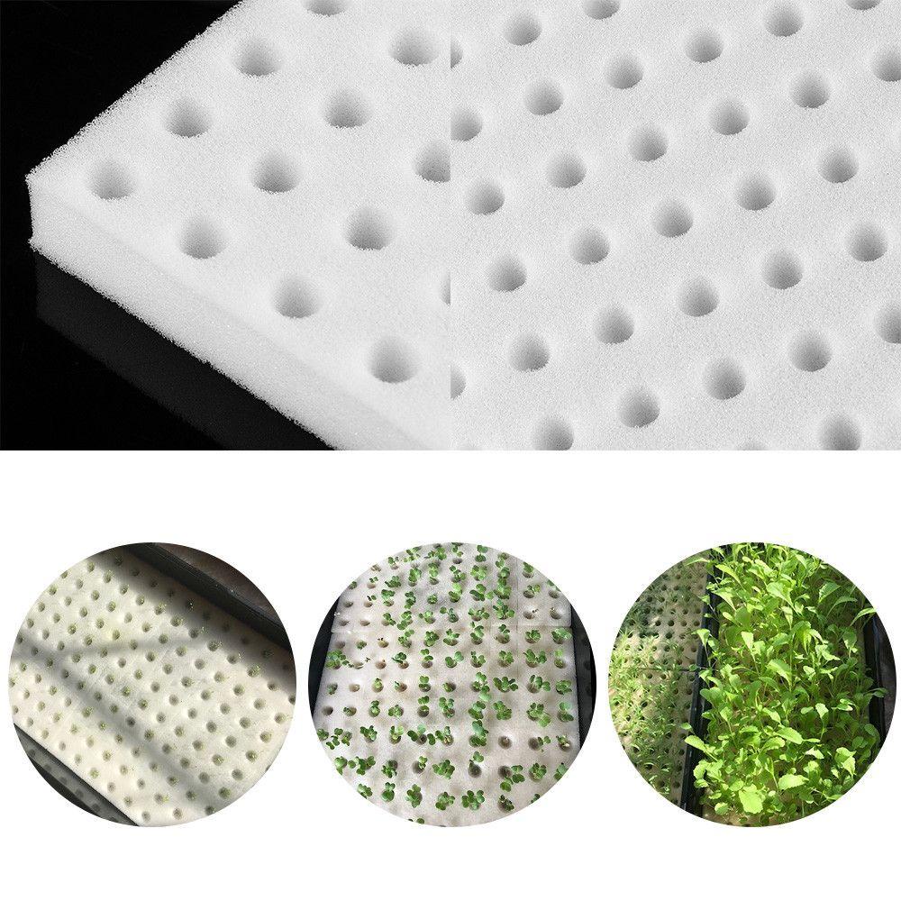 Bọt Biển Thân Thiện Với Môi Trường Không Cần Đất Trồng Cây Thủy Canh