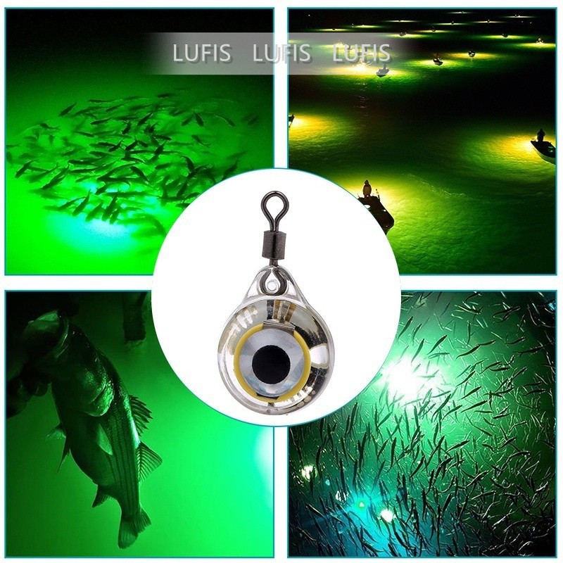 Mồi Câu Cá Giả Hình Mắt Mực Gắn Đèn LED Phát Sáng