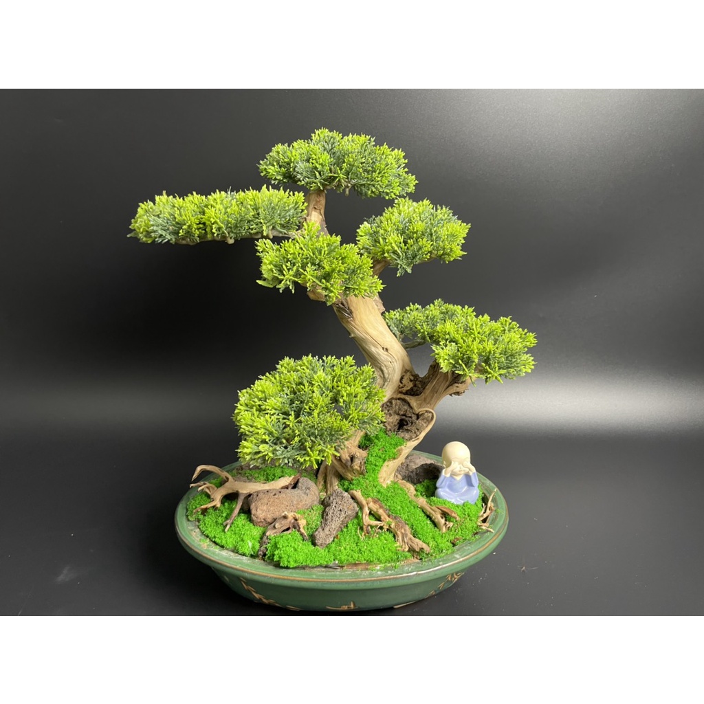 Lũa Bonsai, Lũa thủy sinh dùng trang trí hồ cá cảnh, hồ thủy sinh, văn phòng, nhà cửa