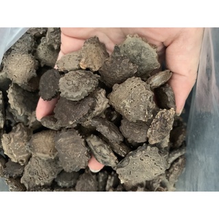 Hạt gấc khô , gấc nhà trồng