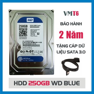 Ổ cứng HDD WD Western Digital 250GB - Bảo hành 24 tháng 1 đổi 1