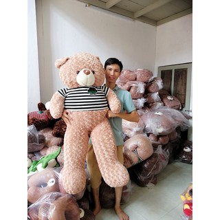 Gấu Bông Teddy khổ vải 1m8 chiều cao 1m6  hàng loại 1 cực đẹp giá chất
