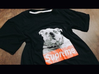 Áo supreme chó bug