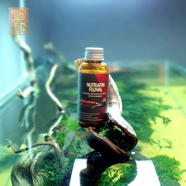 Khoáng Tép Nutrafin Fluval 100ml