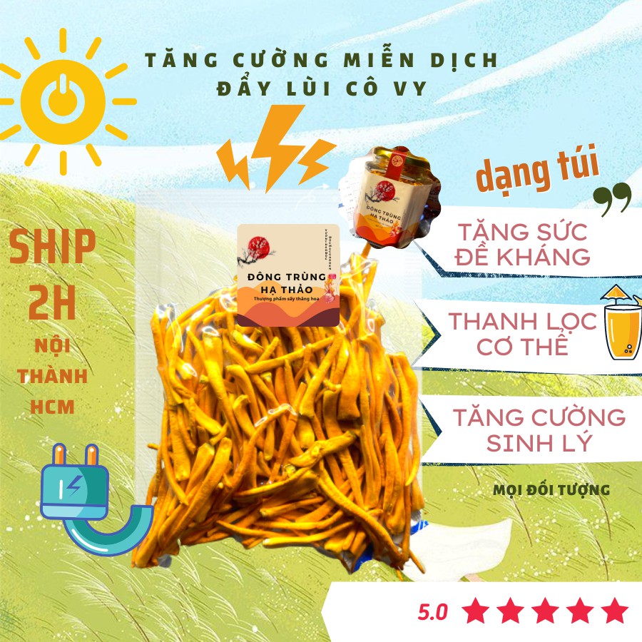 Đông trùng hạ thảo sấy khô gói 100gr