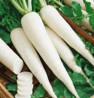 Hạt giống Củ Cải trắng