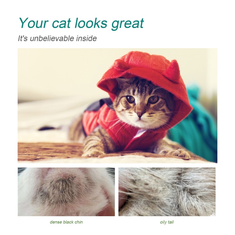 Lucky Set 2 Găng Tay Khử Mùi Vệ Sinh Toàn Thân Dùng Một Lần Cho Chó Và Mèo