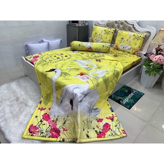 Drap thun lạnh 5D cao cấp ( 3 màu)